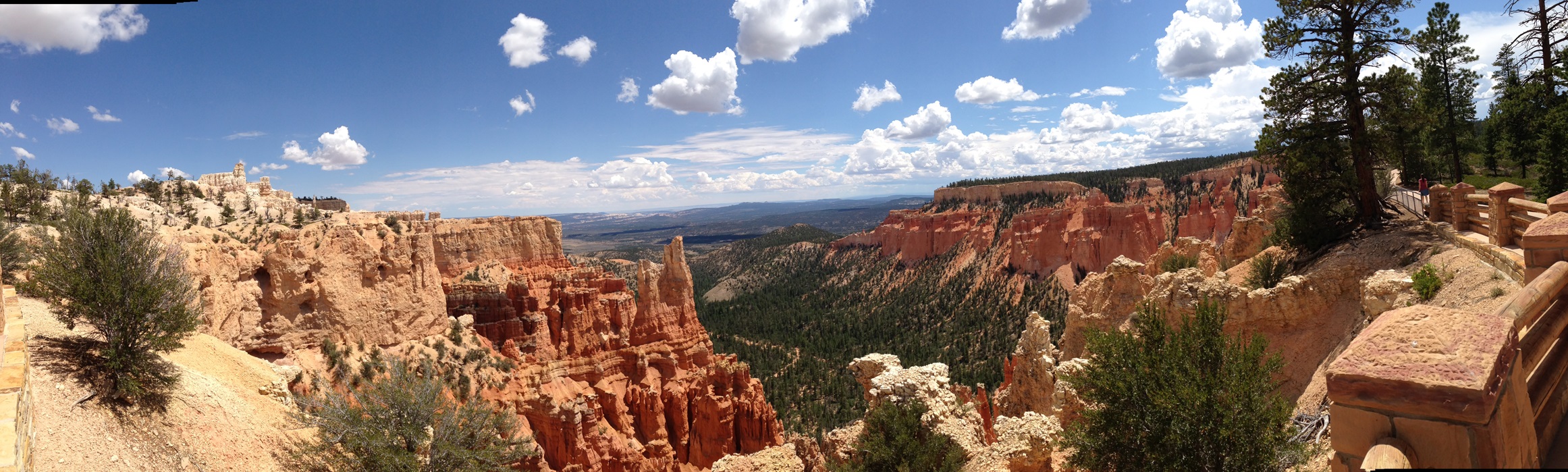 usa_bryce weit
